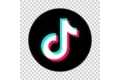 TikTok Logo